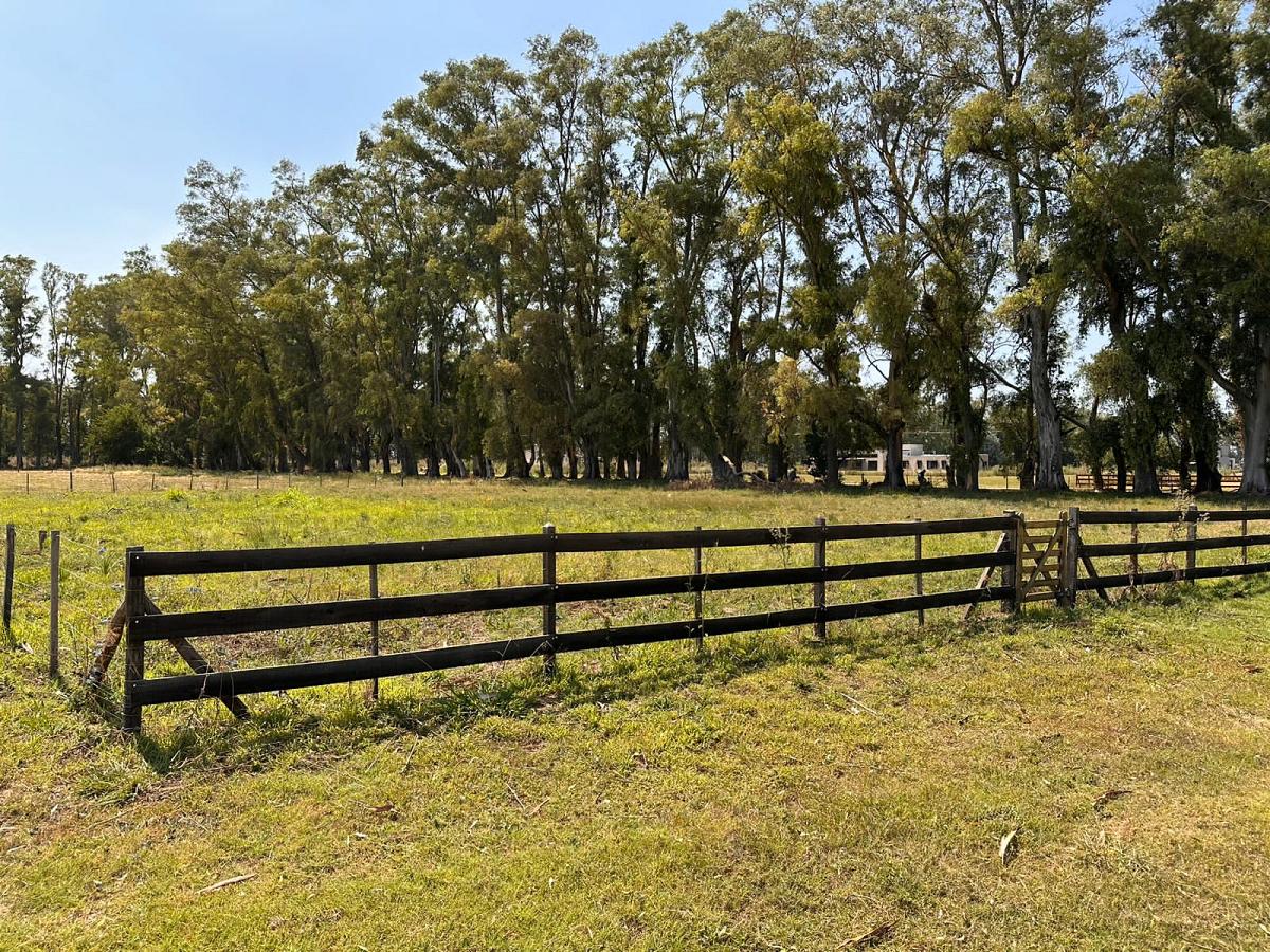 Lote en venta