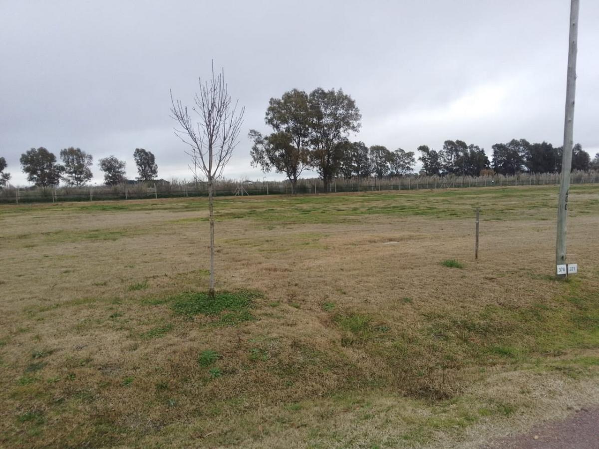 Lote en venta
