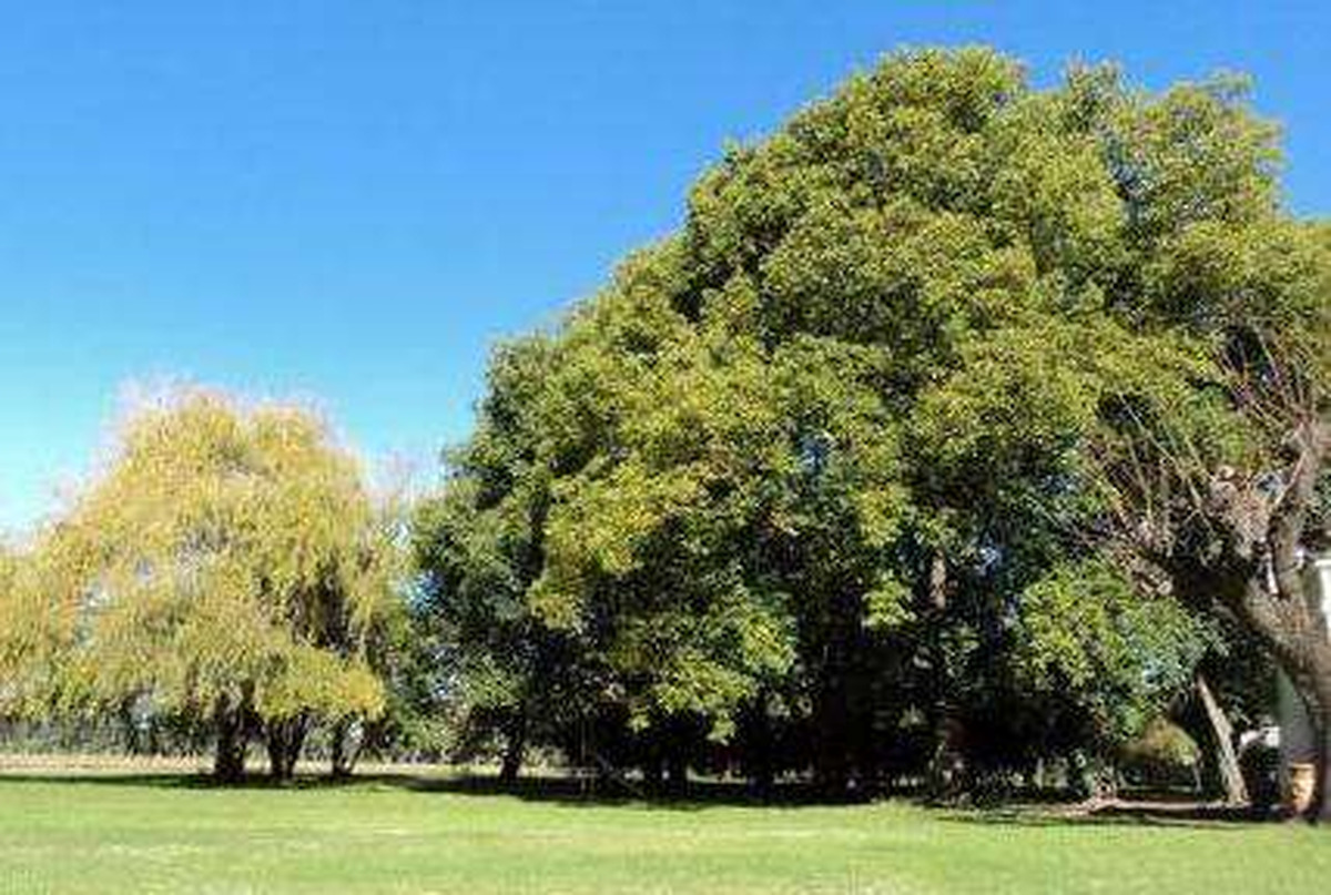 Terreno Industrial en venta