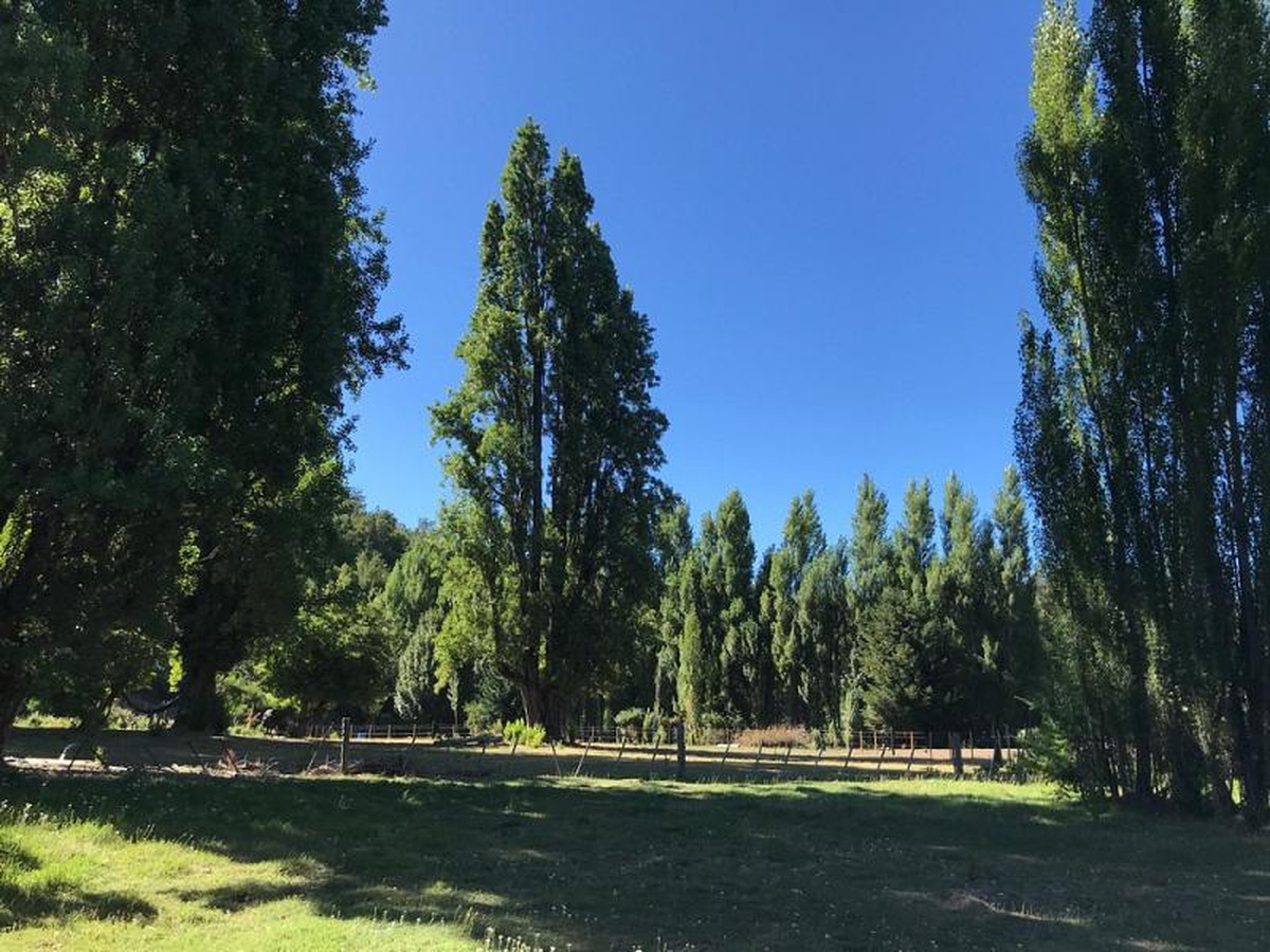Terreno en venta
