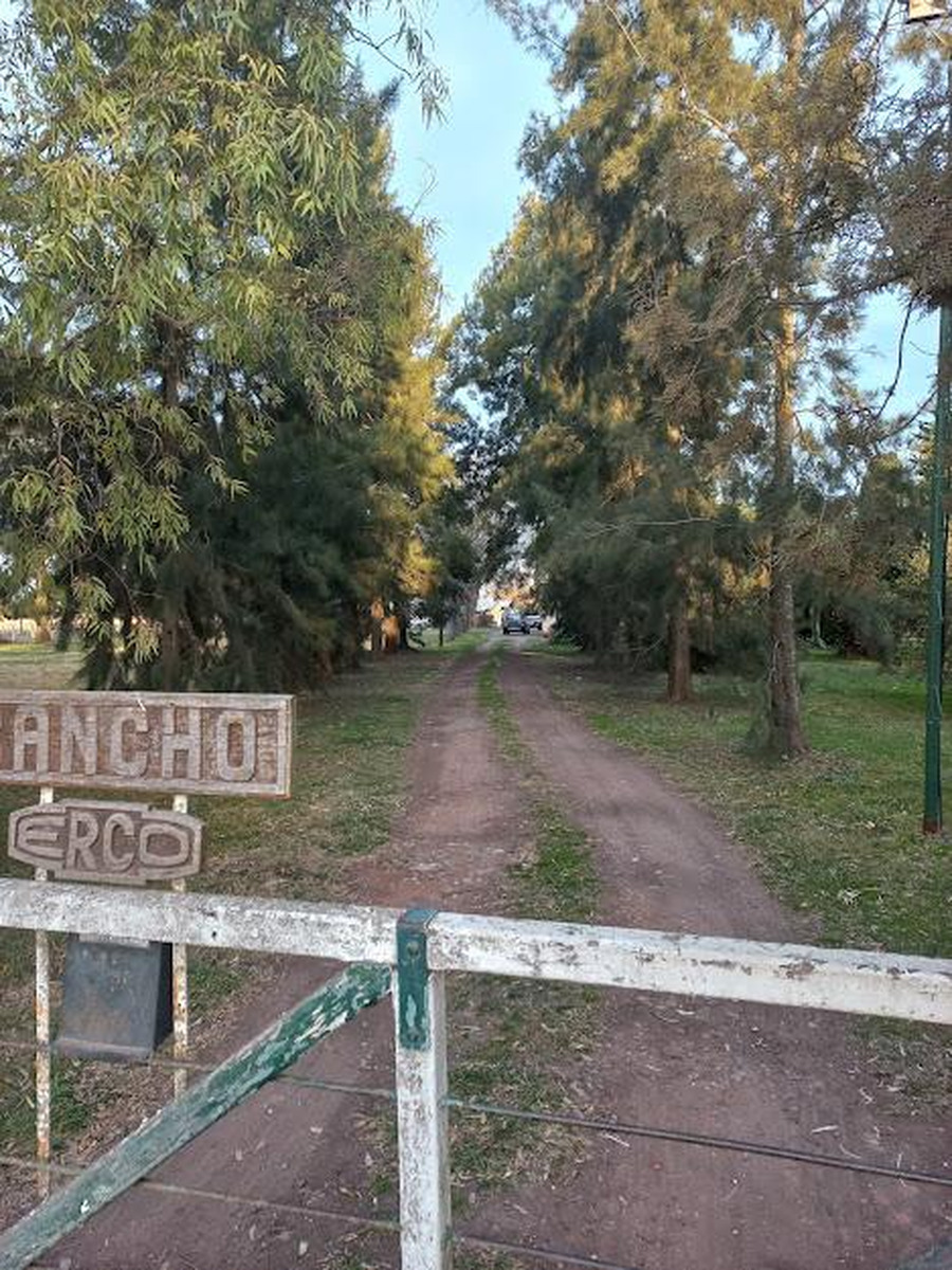 Campo en venta