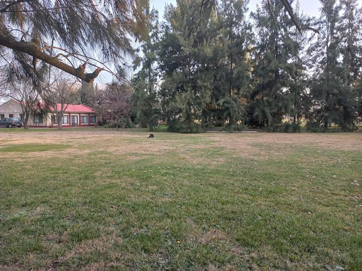 Campo en venta