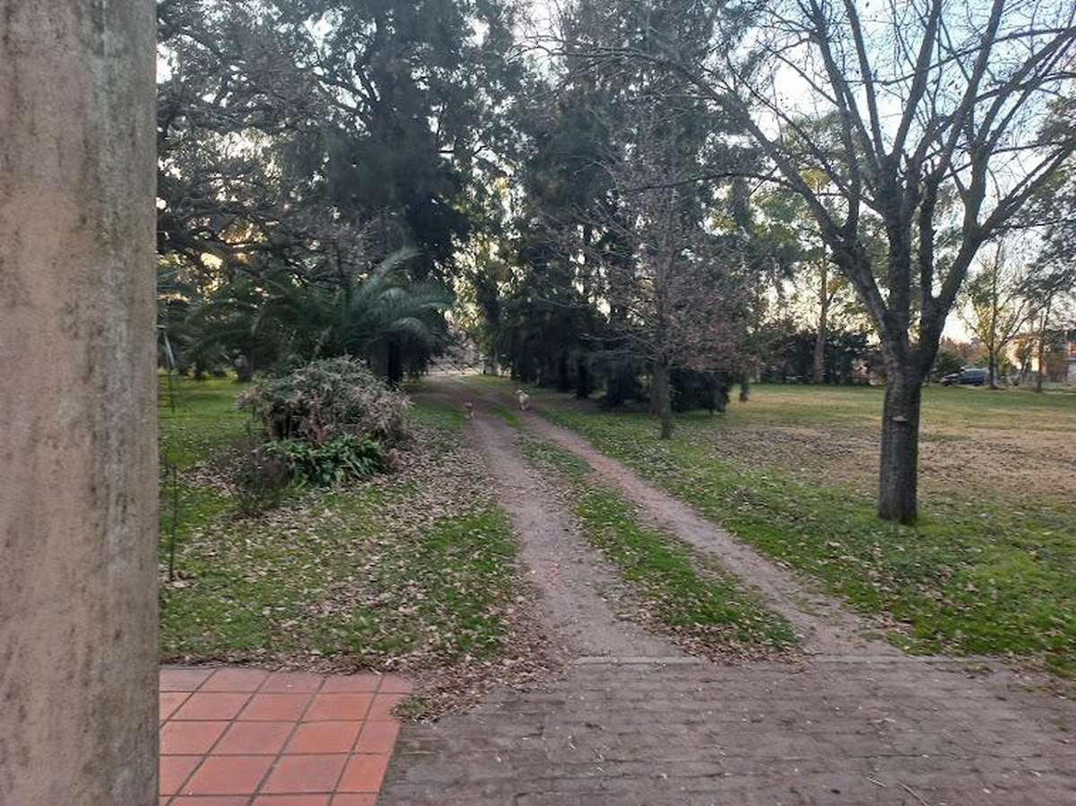 Campo en venta