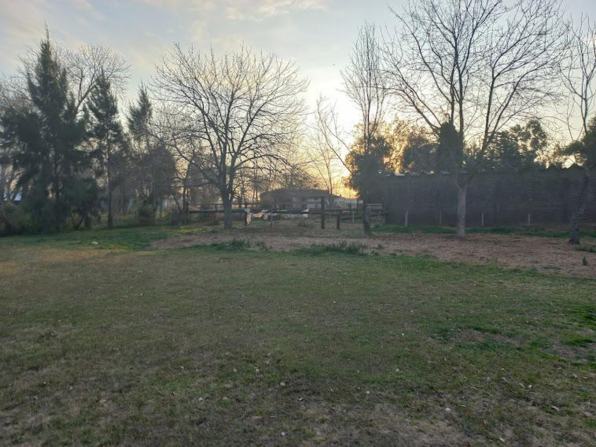 Campo en venta