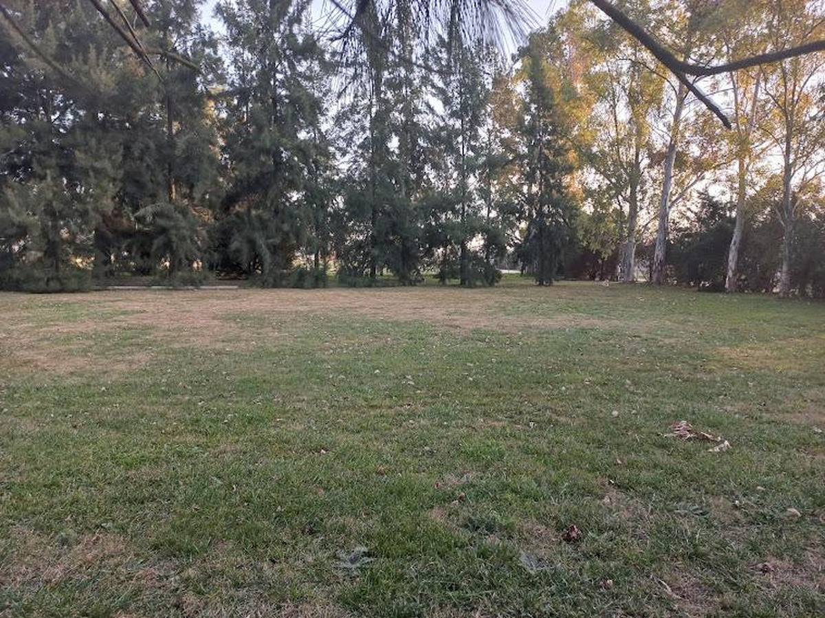 Campo en venta