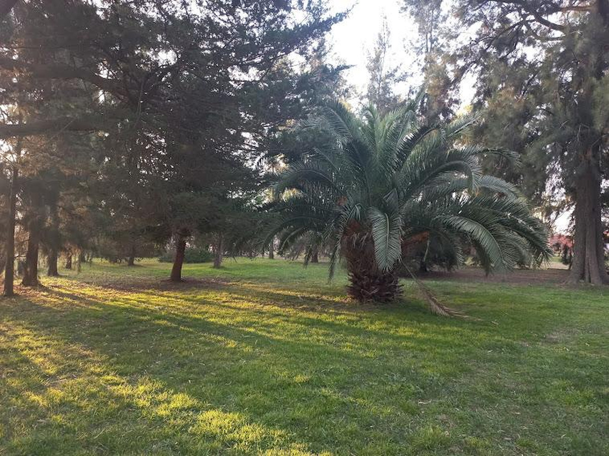 Campo en venta