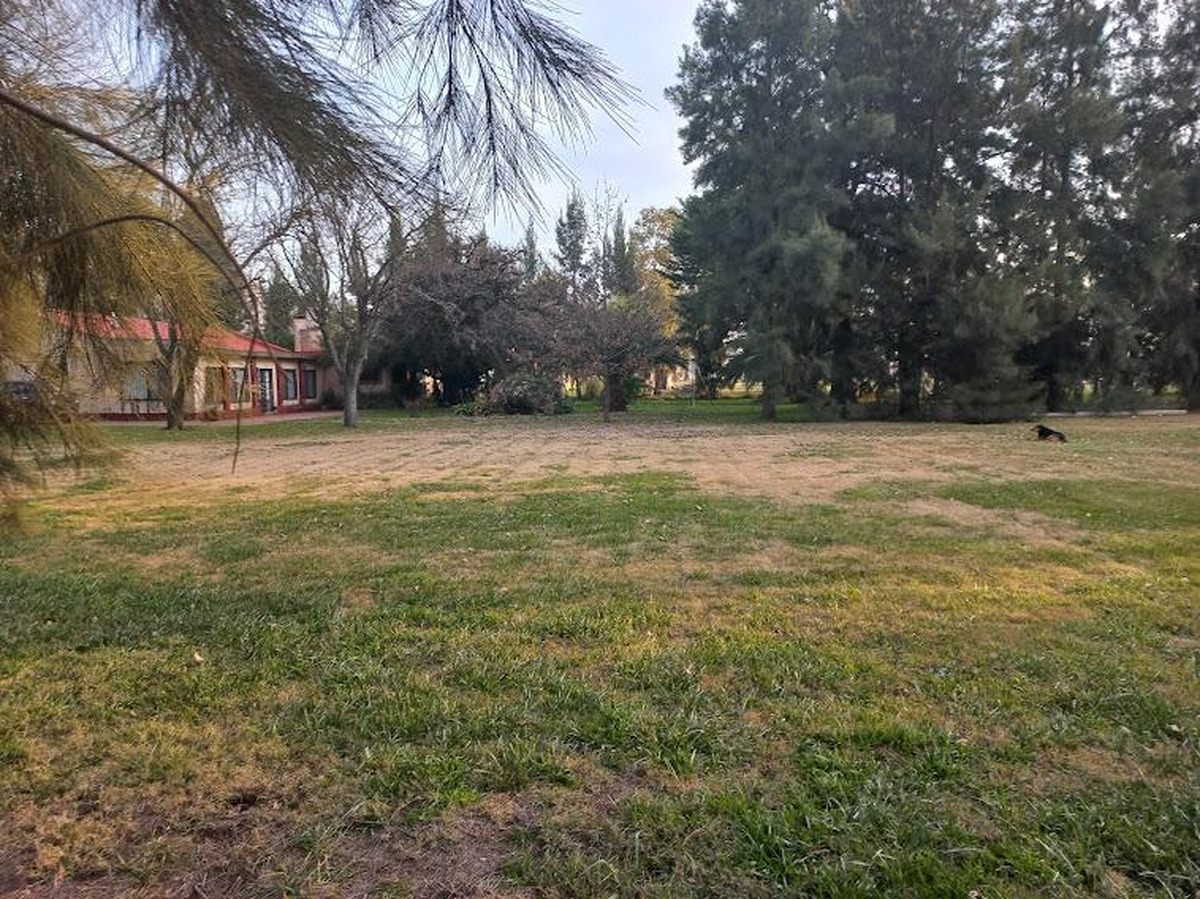 Campo en venta