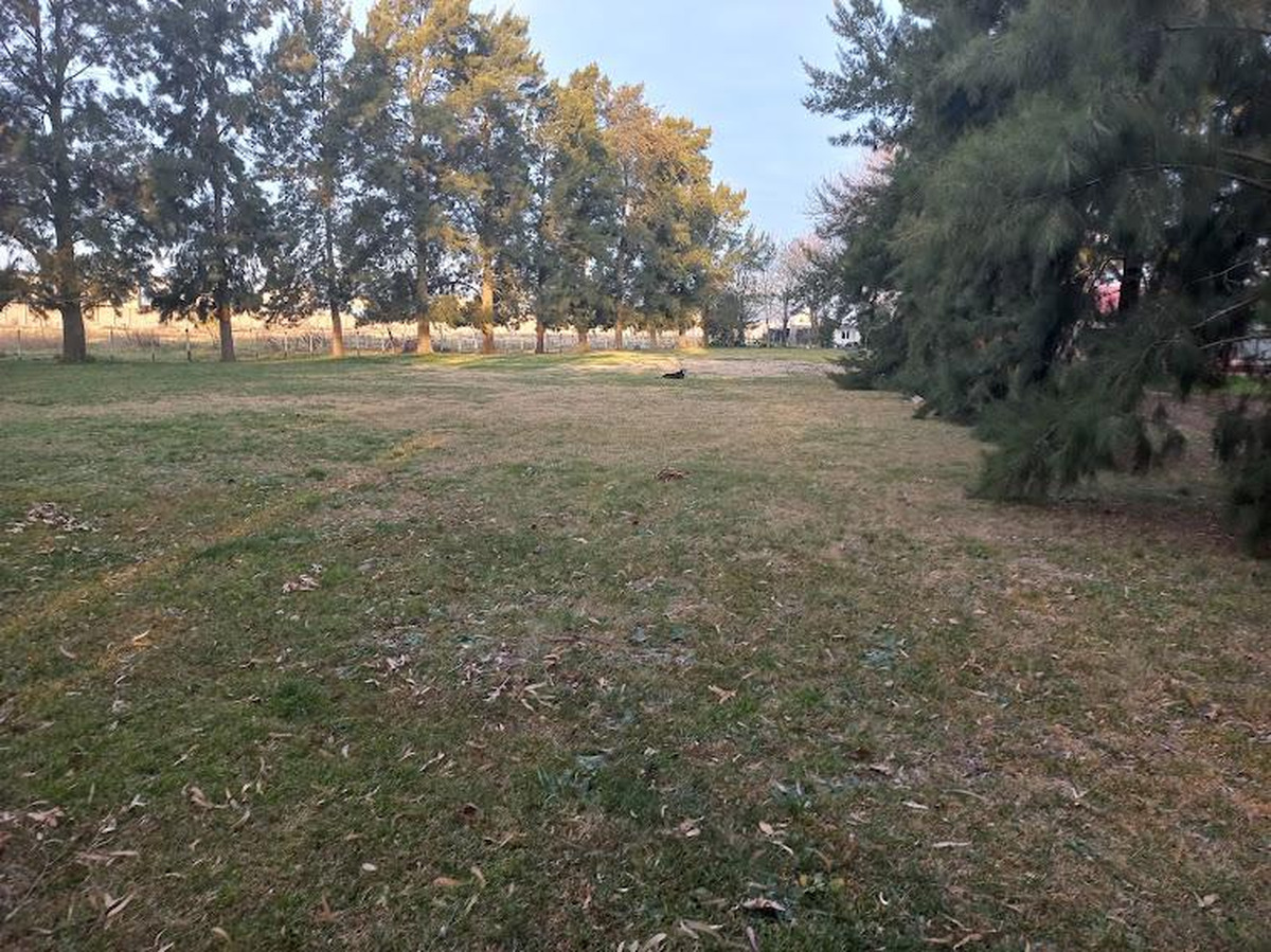 Campo en venta