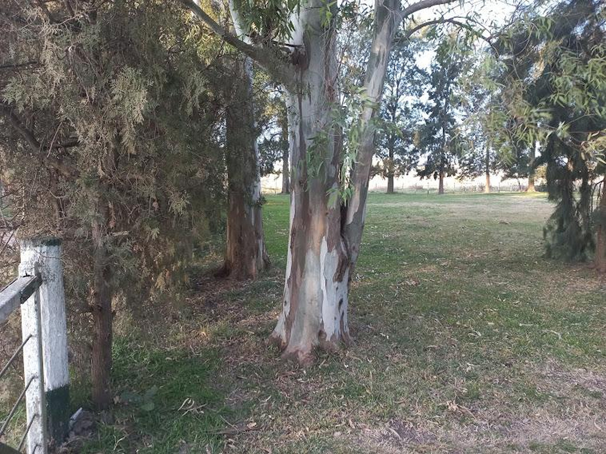 Campo en venta
