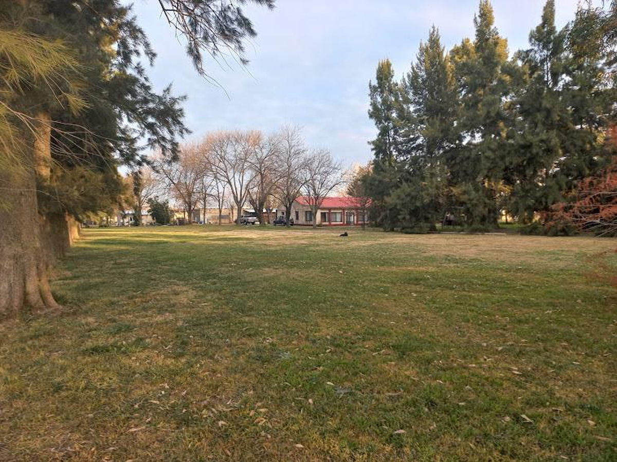 Campo en venta
