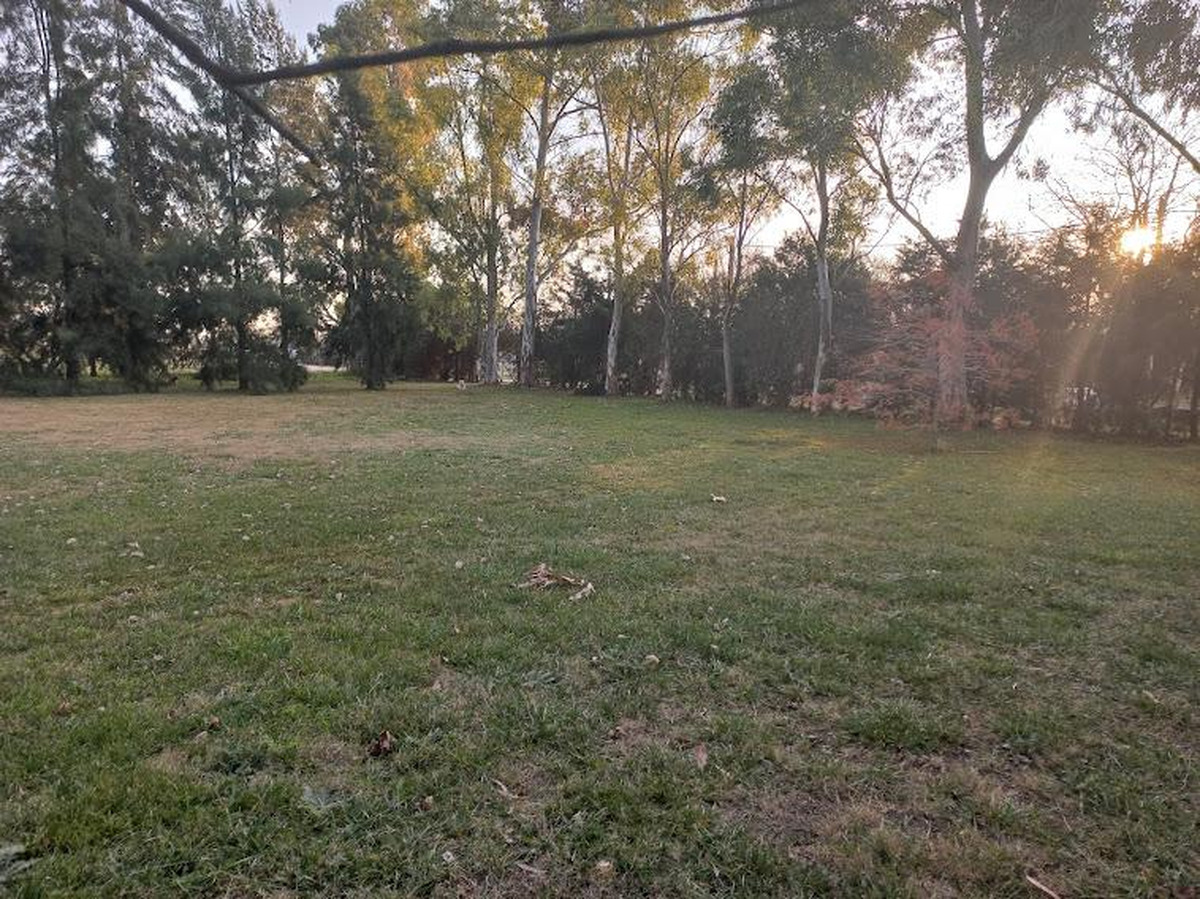 Campo en venta