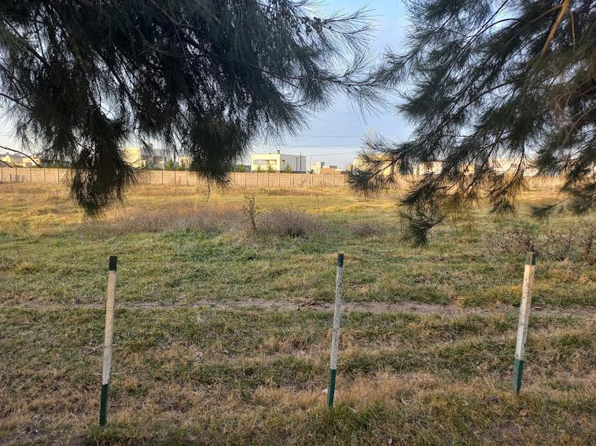Campo en venta