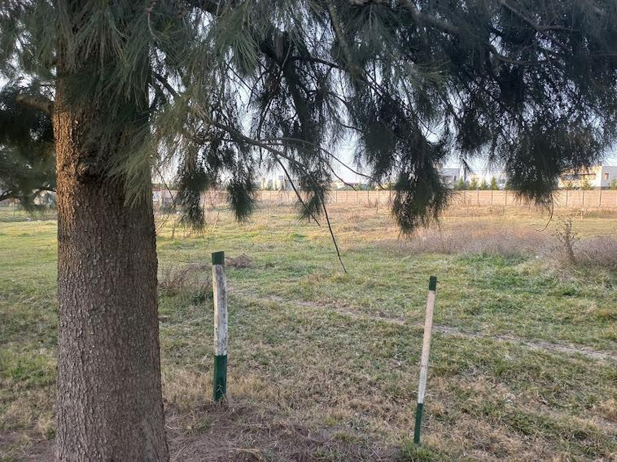Campo en venta