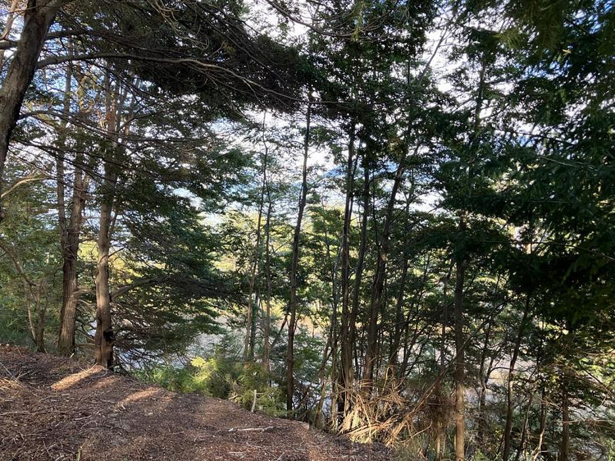 Lote en venta
