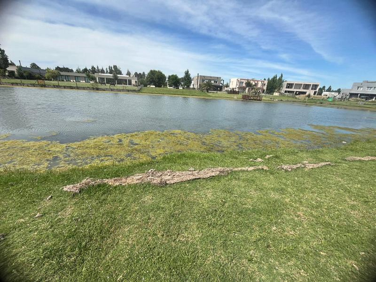 Lote en venta