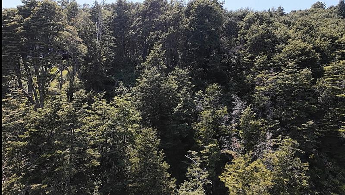 Terreno en venta