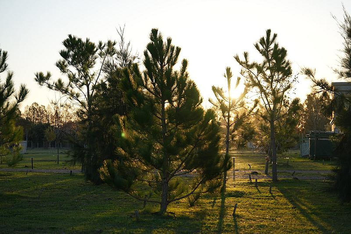 Lote en venta