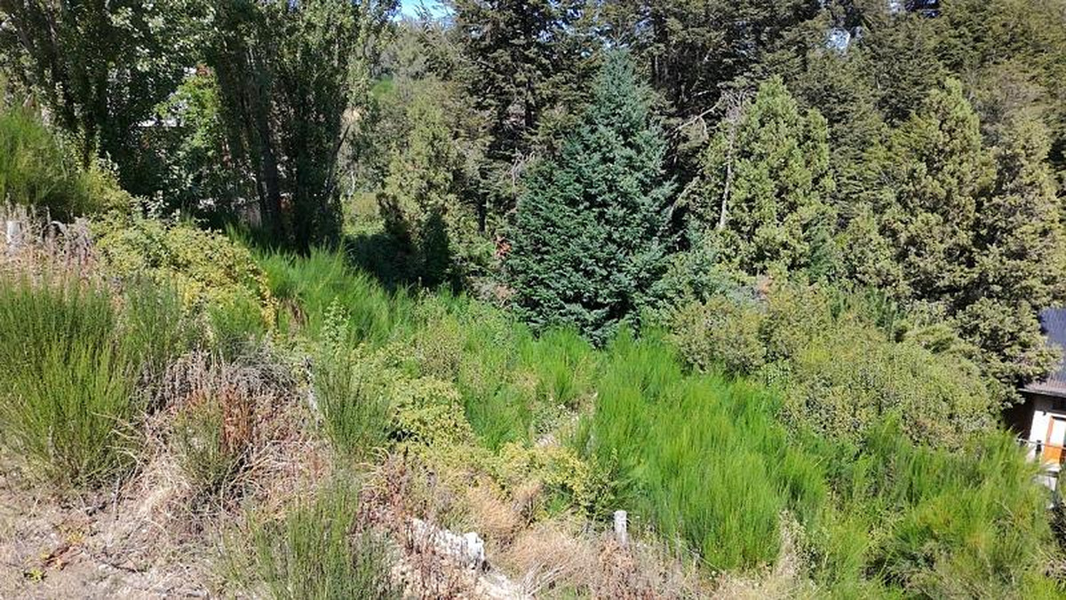 Terreno en venta