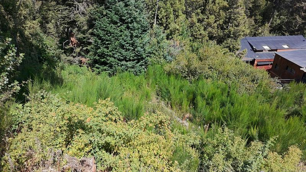 Terreno en venta