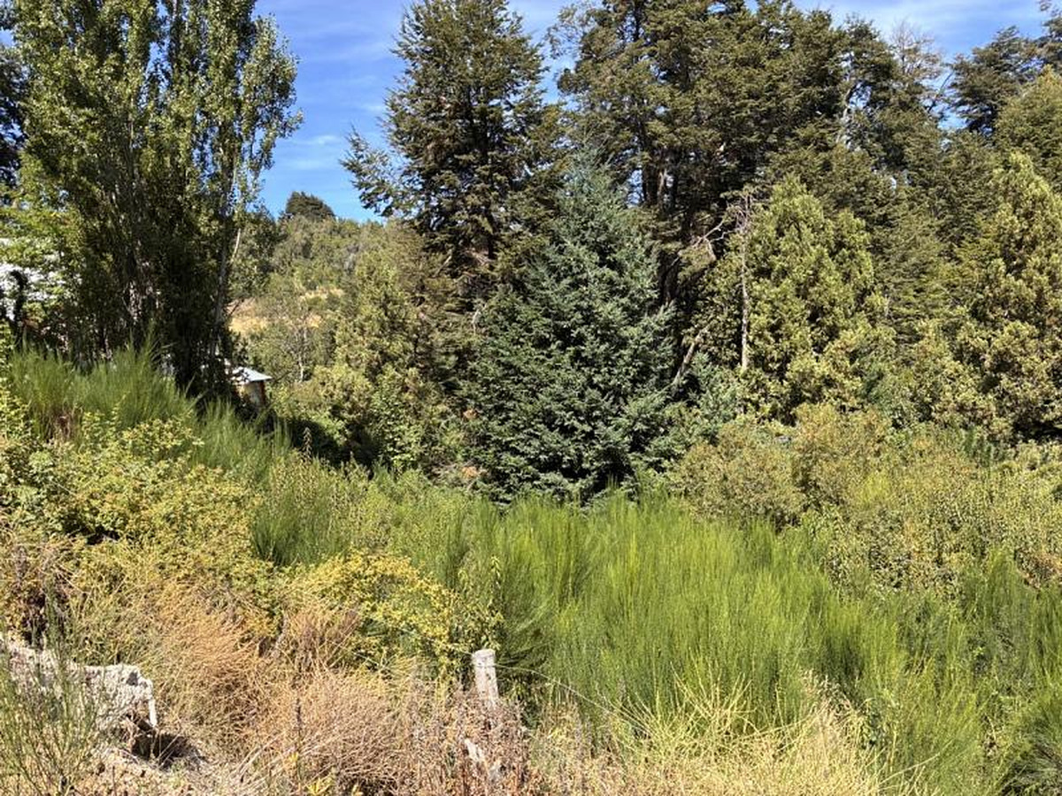 Terreno en venta