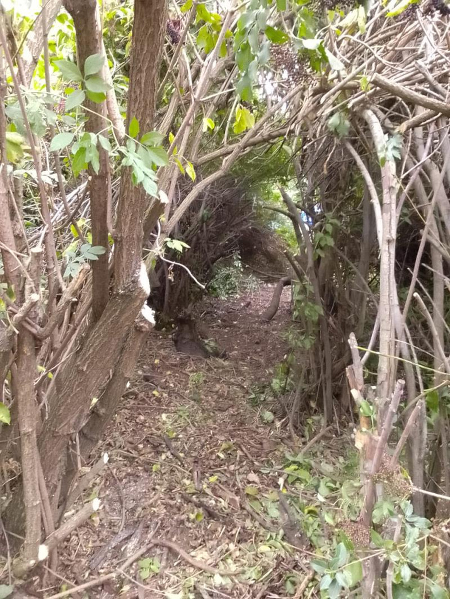Terreno en venta