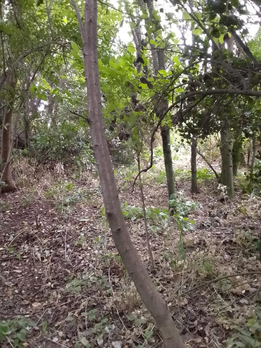 Terreno en venta
