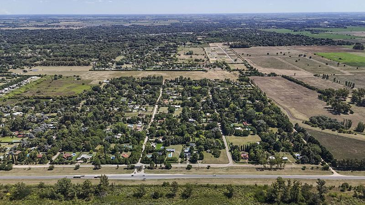 Campo en venta