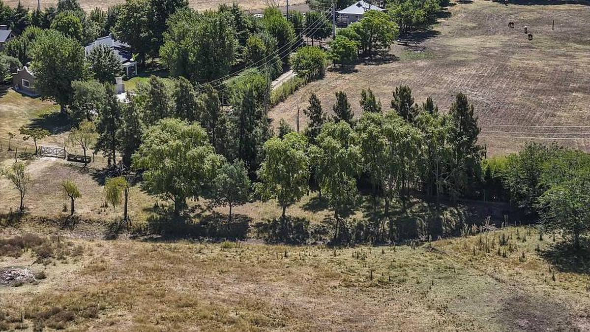 Campo en venta