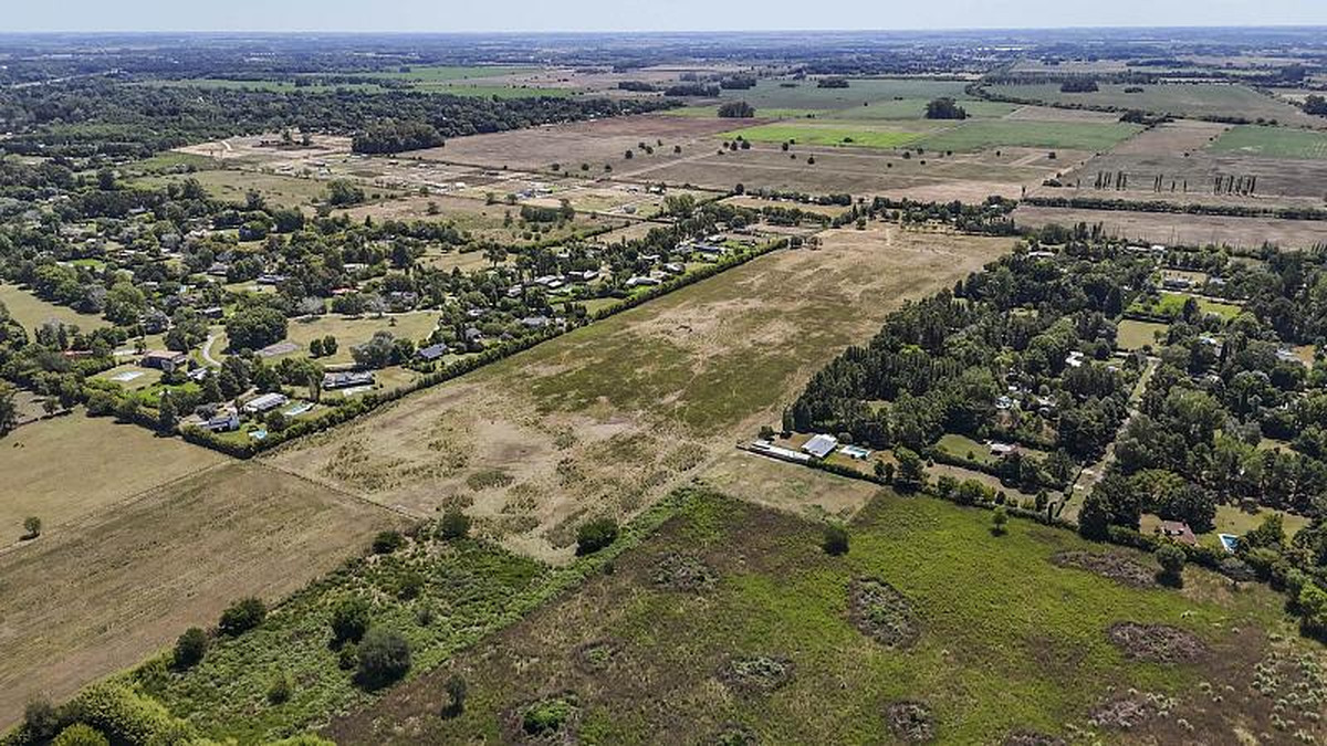 Campo en venta