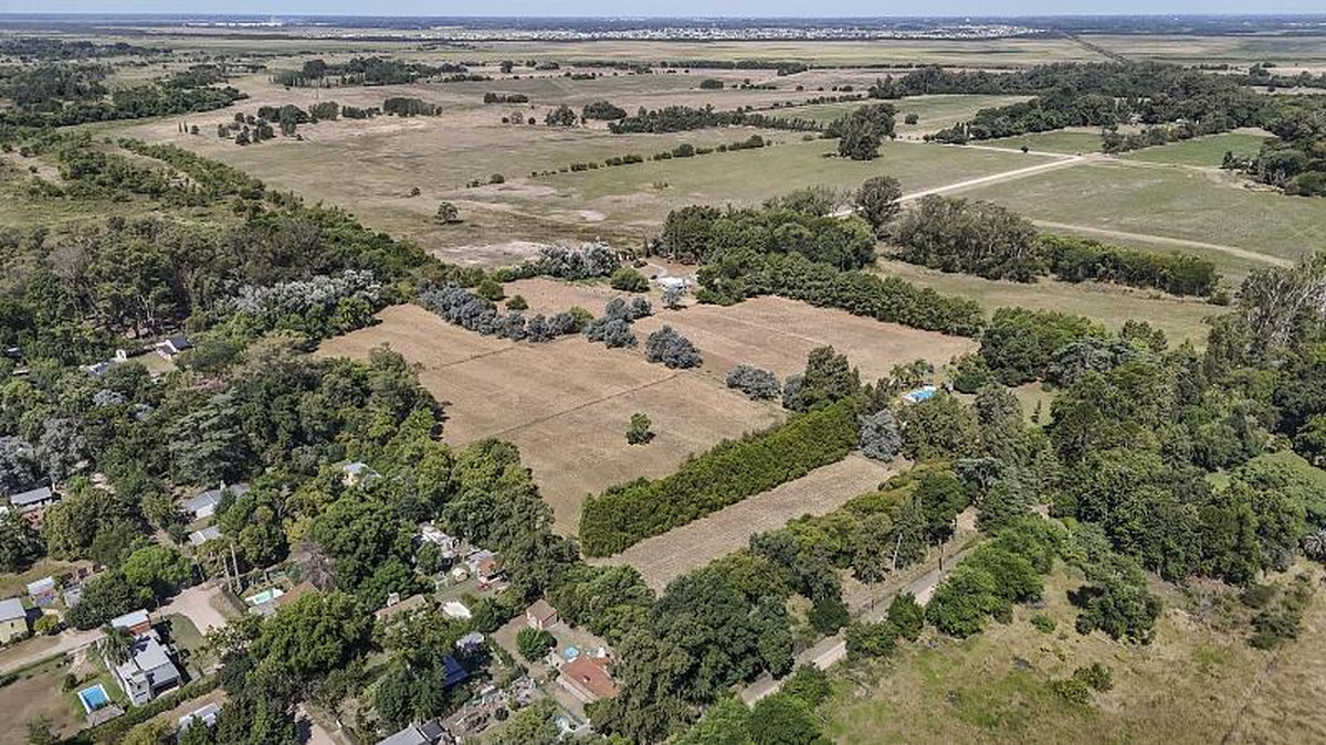 Campo en venta