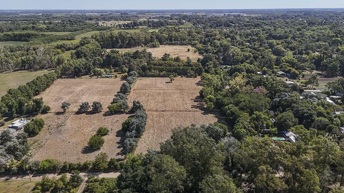 Campo en venta