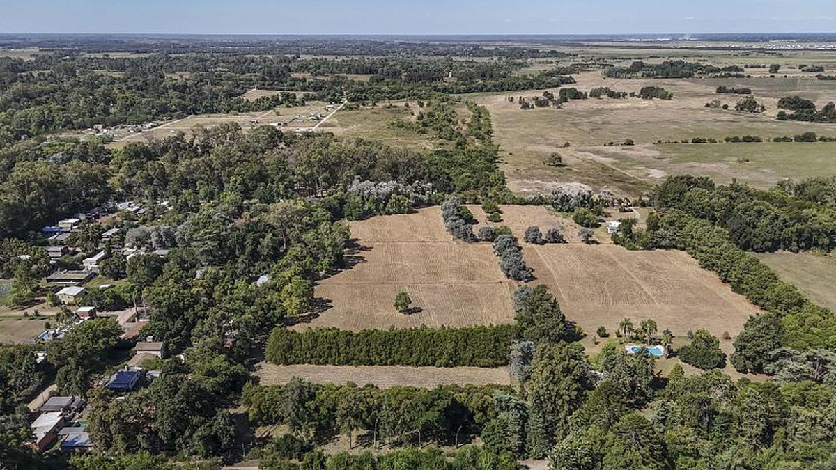 Campo en venta