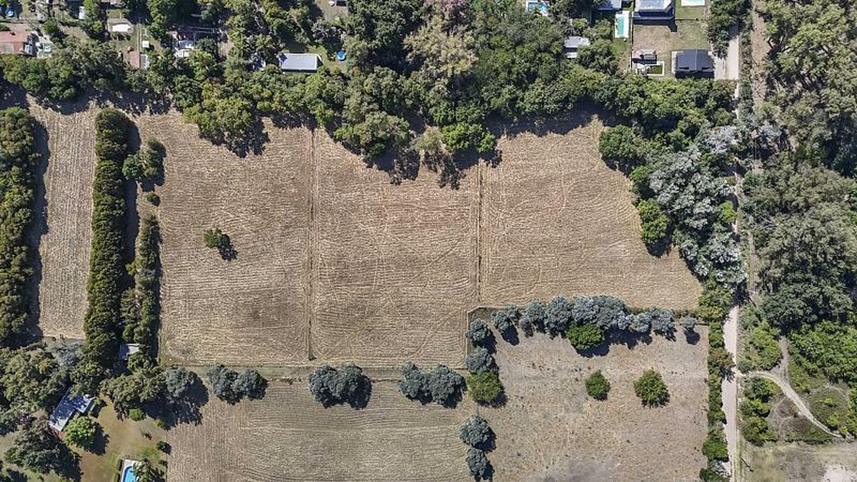 Campo en venta