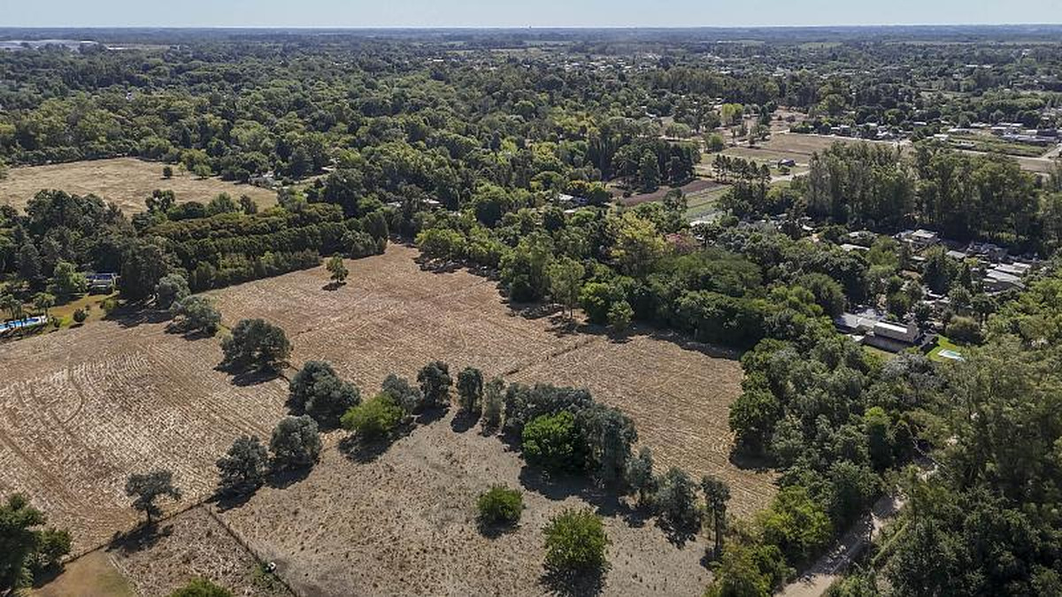 Campo en venta