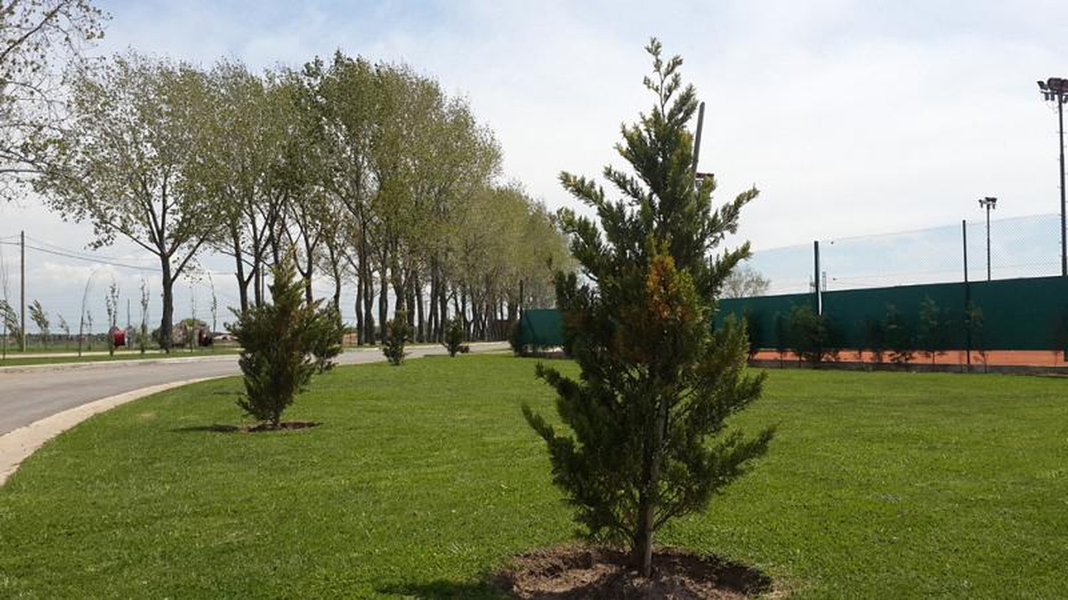 Lote en venta