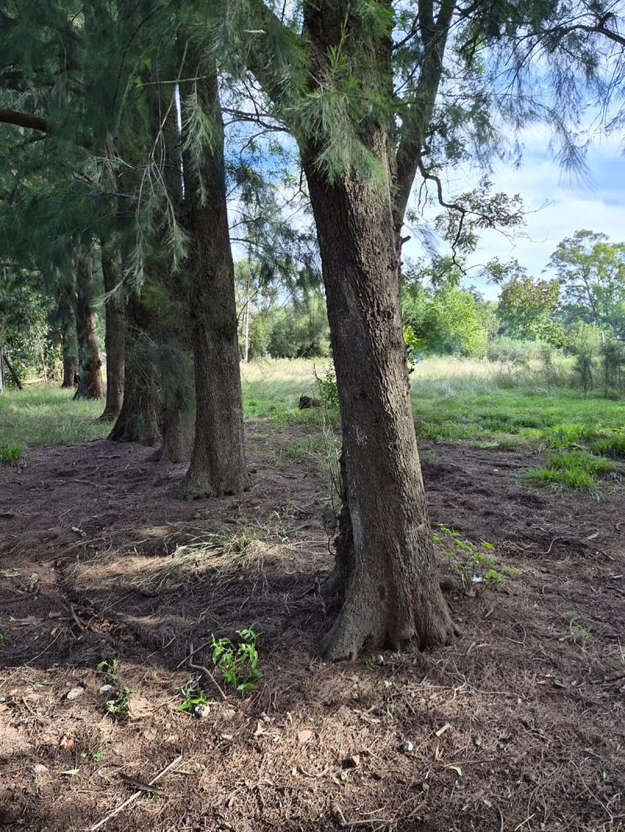 Terreno en venta