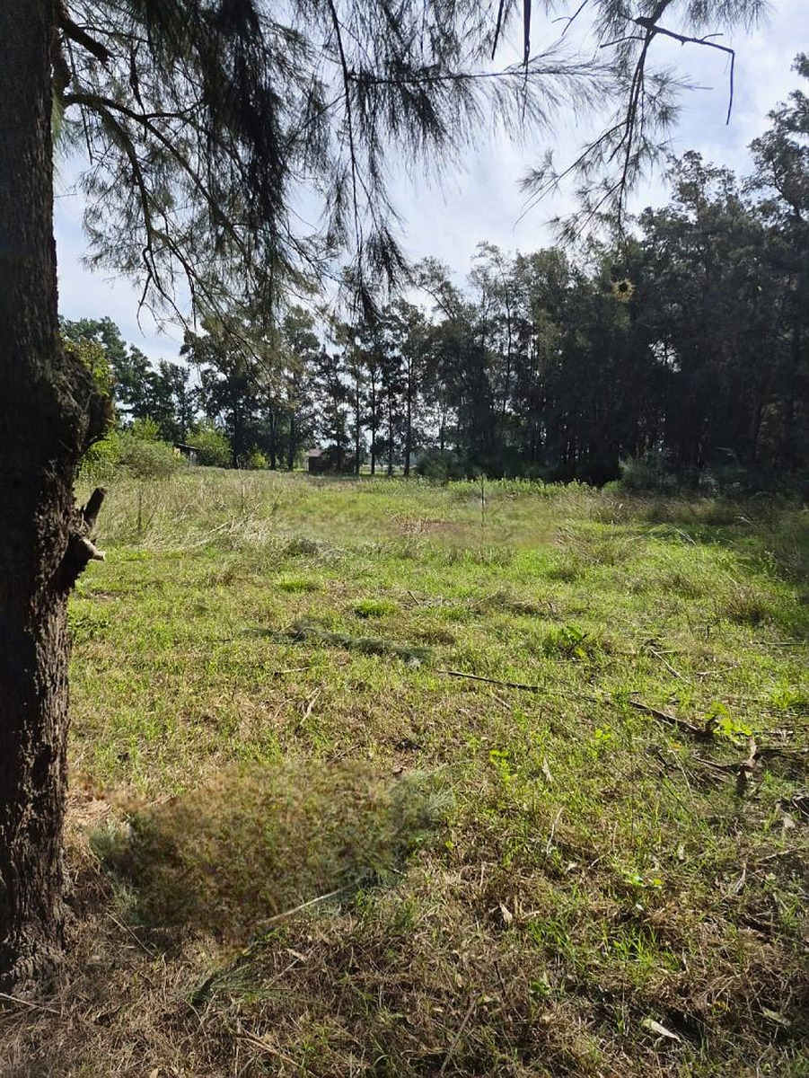 Terreno en venta