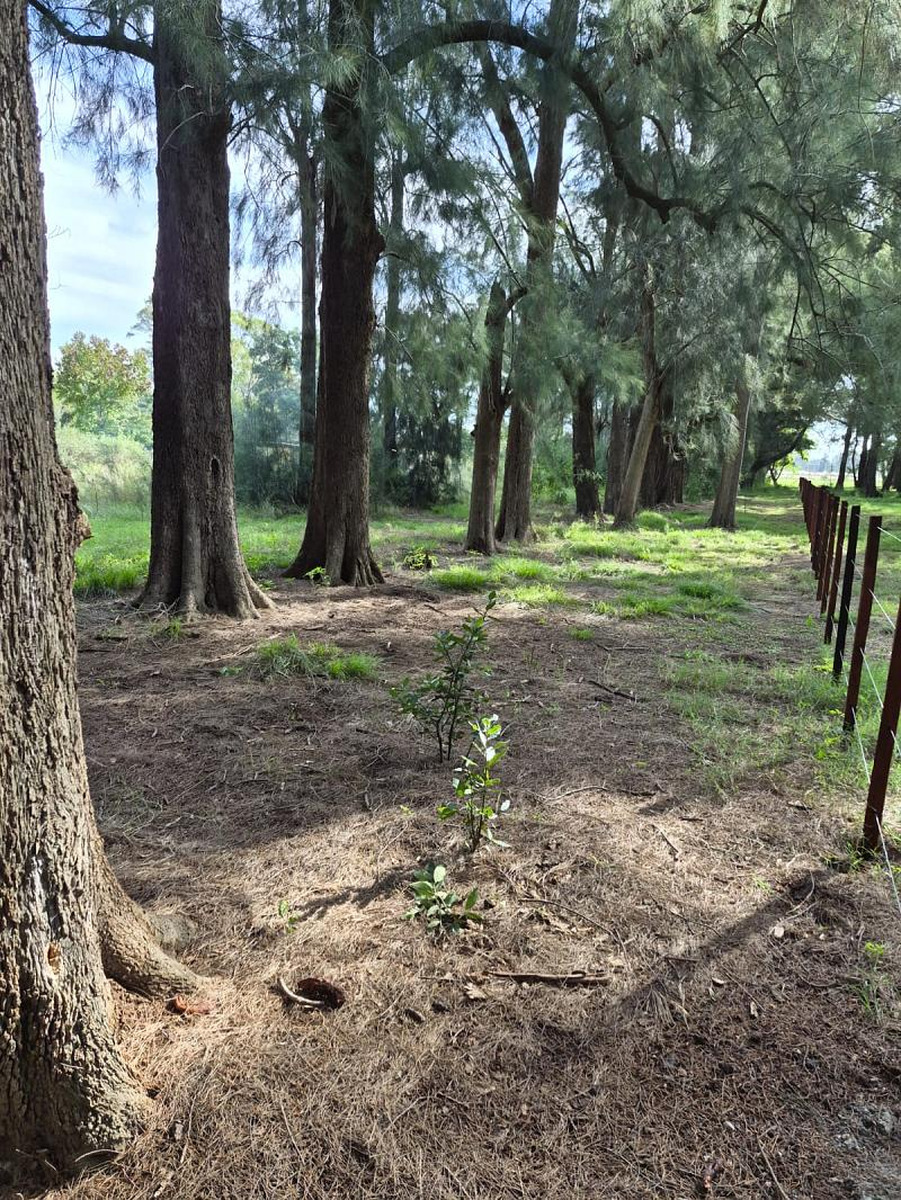 Terreno en venta