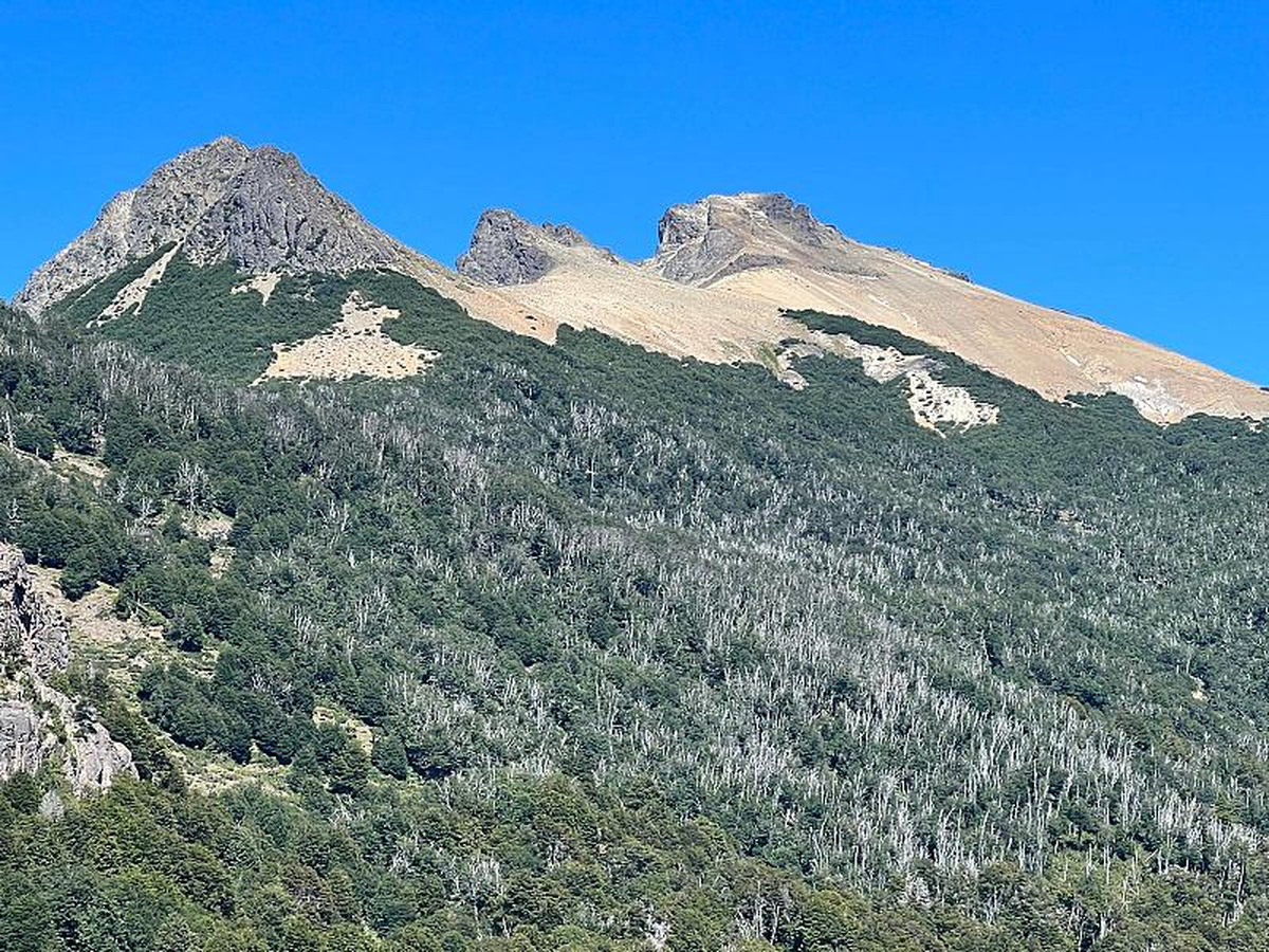 Campo en venta