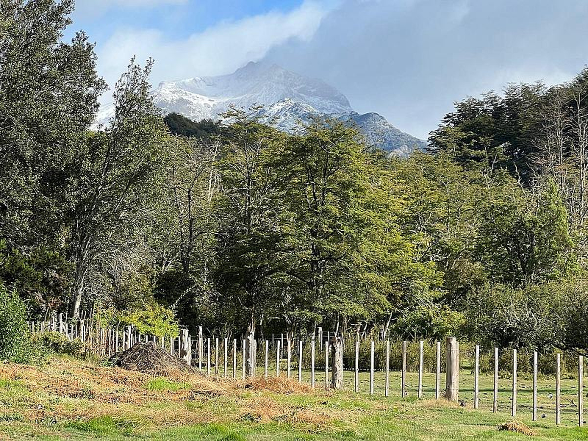 Campo en venta