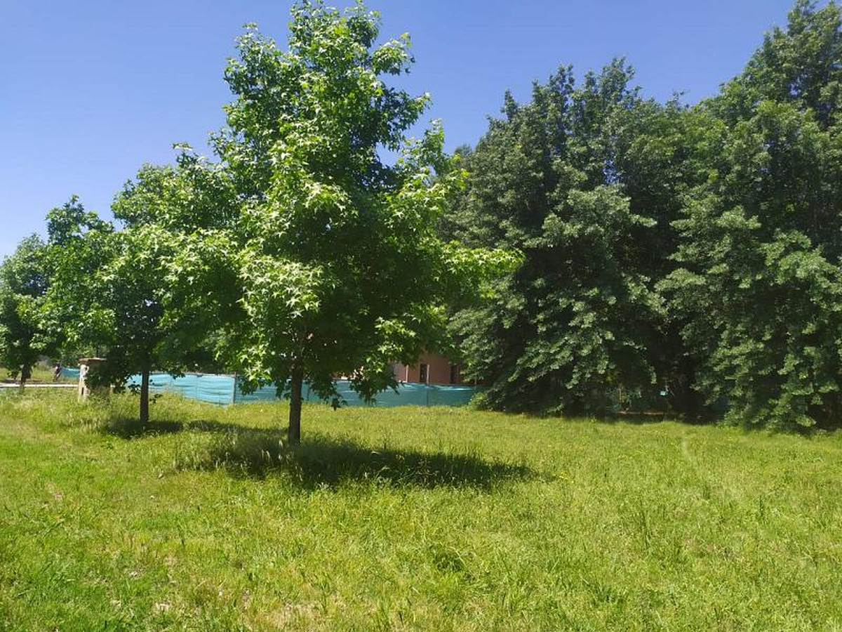 Lote en venta