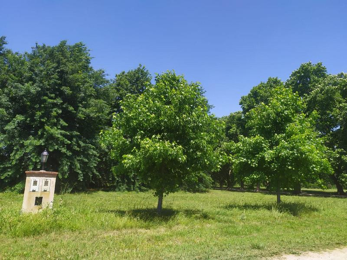 Lote en venta