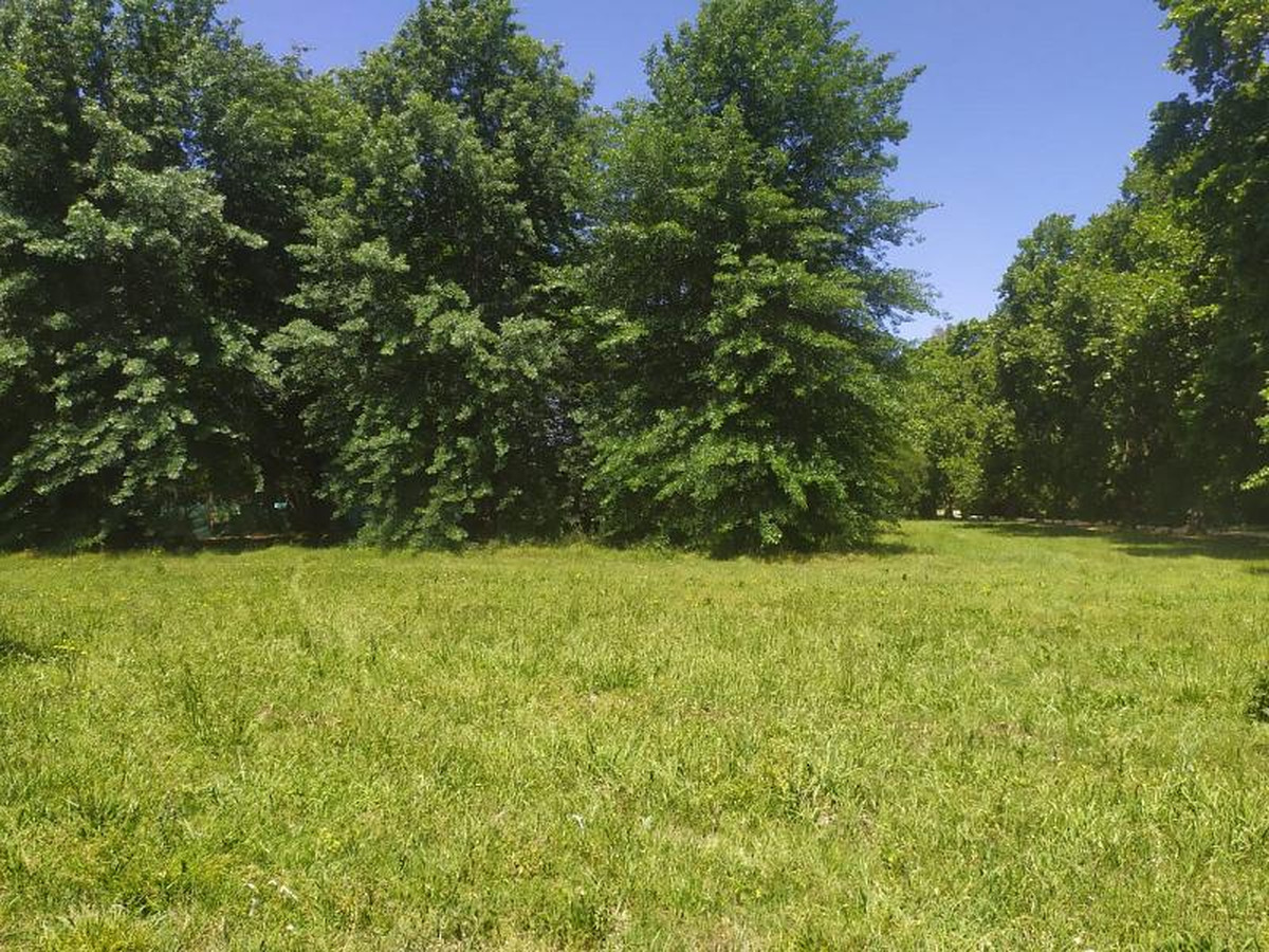Lote en venta